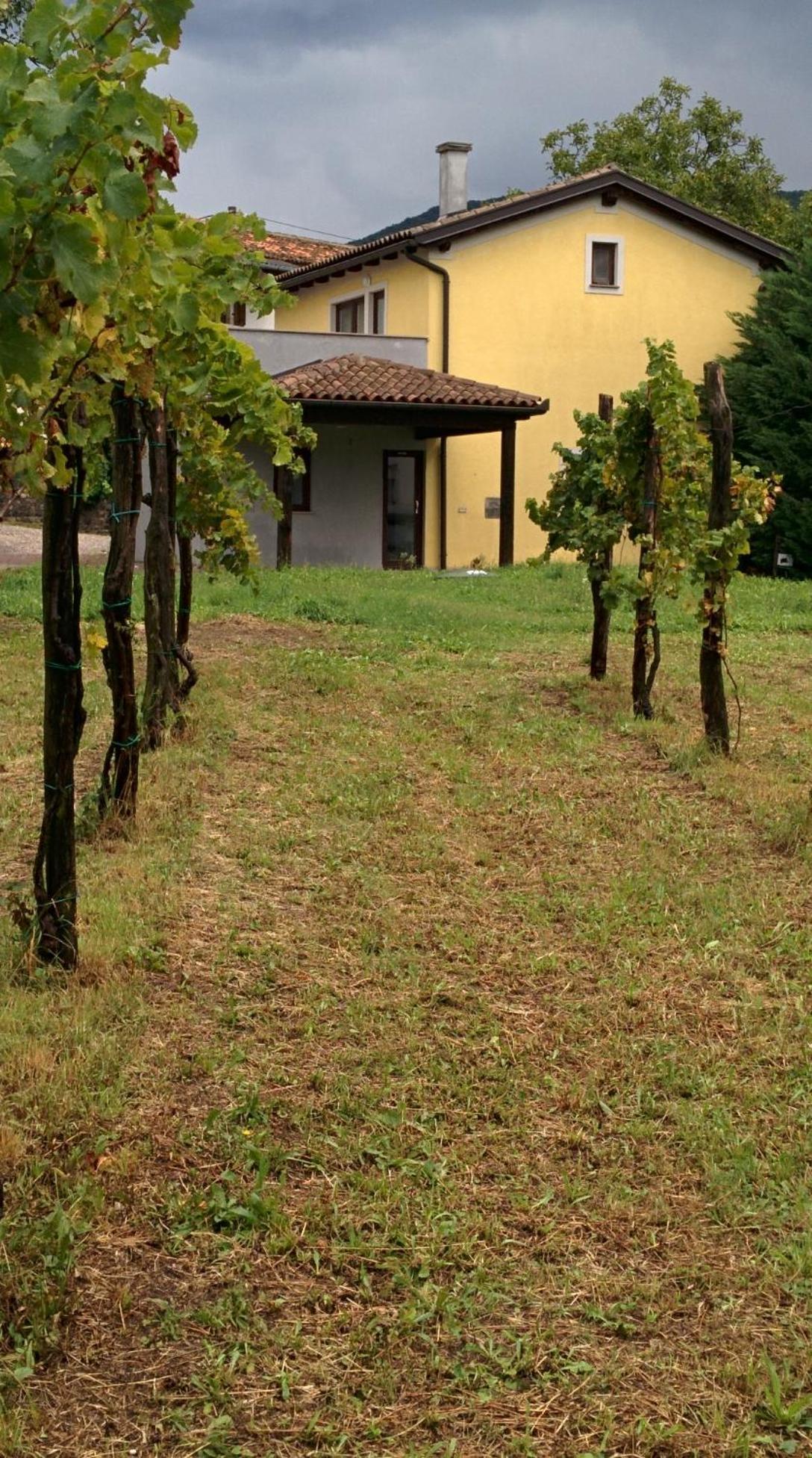 Small House In Vipava Valley Екстериор снимка